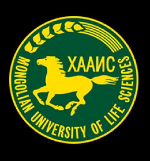 Багш шалгаруулж авна.
